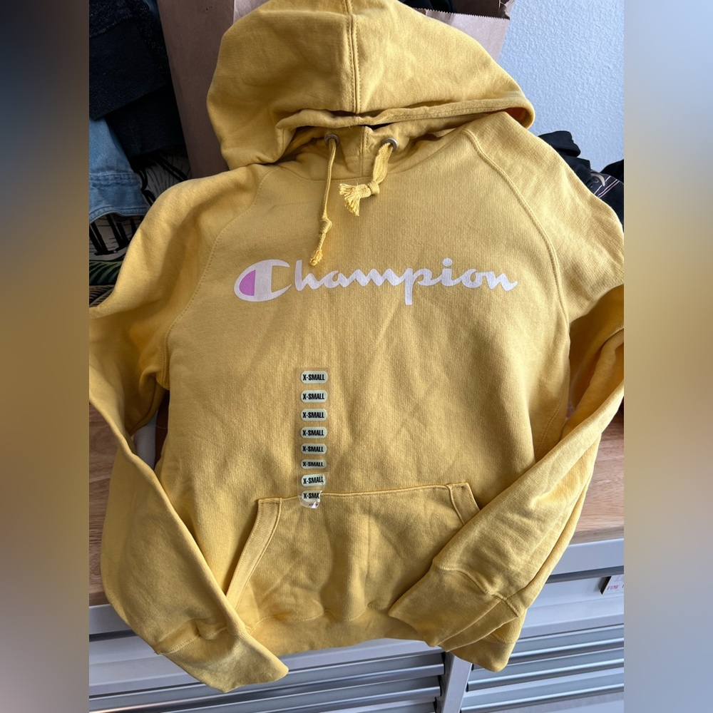 NWT Champion hooded sweatshirt, size XS